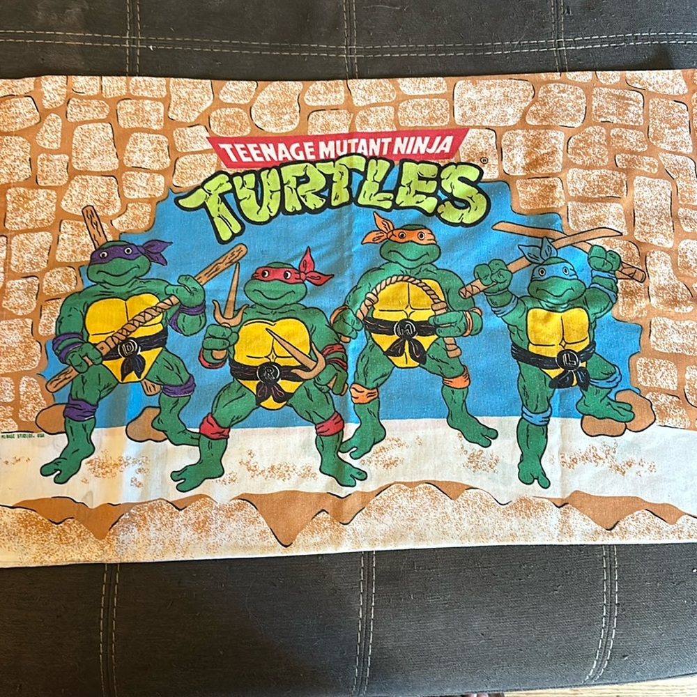 Vintage TMNT bedsheets and curtain.  Only has one pillow case. In good shape.